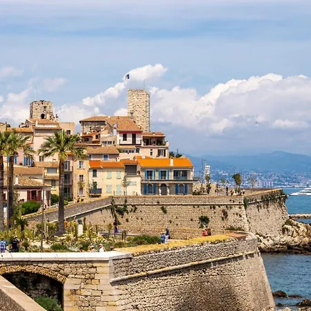 L Olivier Modern And Bright Historic Center Gem, 150m From The * Antibes